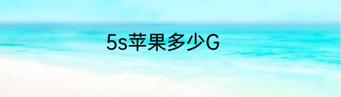 5s苹果多少G