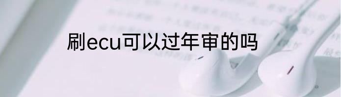 刷ecu可以过年审的吗