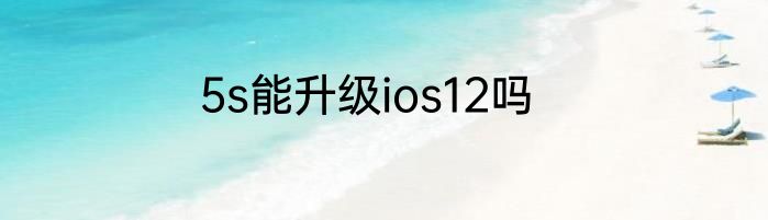 5s能升级ios12吗