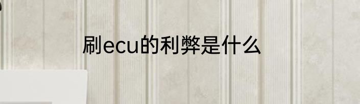 刷ecu的利弊是什么
