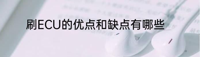 刷ECU的优点和缺点有哪些