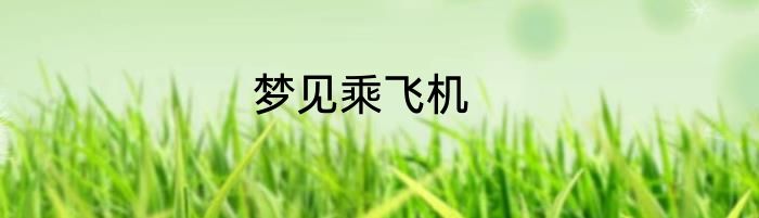 梦见乘飞机