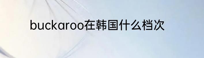 buckaroo在韩国什么档次
