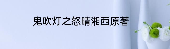 鬼吹灯之怒晴湘西原著