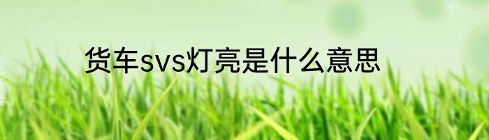 货车svs灯亮是什么意思