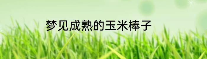 梦见成熟的玉米棒子