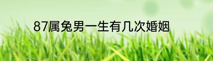 87属兔男一生有几次婚姻