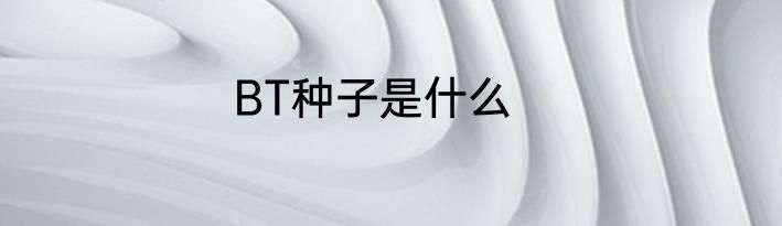 BT种子是什么