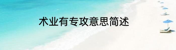 术业有专攻意思简述