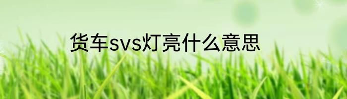货车svs灯亮什么意思