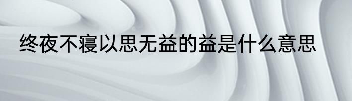 终夜不寝以思无益的益是什么意思