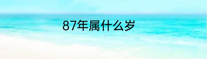 87年属什么岁