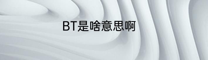 BT是啥意思啊