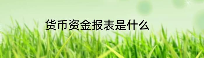 货币资金报表是什么