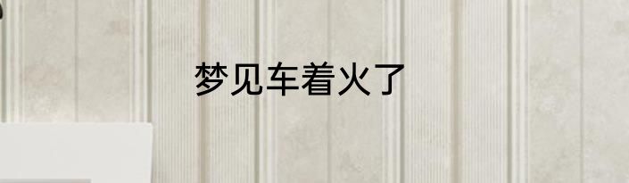 梦见车着火了