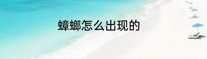 蟑螂怎么出现的