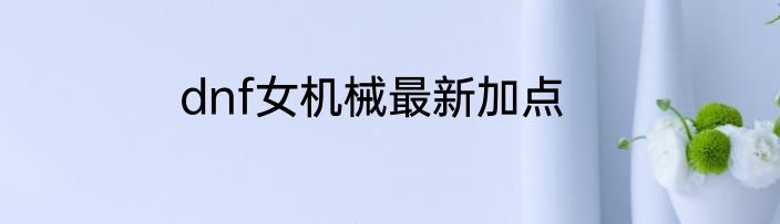 dnf女机械最新加点