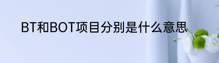 BT和BOT项目分别是什么意思