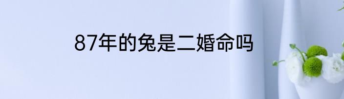 87年的兔是二婚命吗