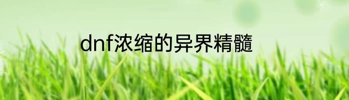 dnf浓缩的异界精髓