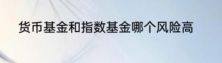 货币基金和指数基金哪个风险高