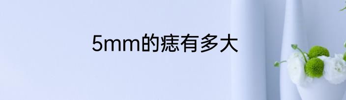5mm的痣有多大