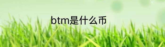 btm是什么币
