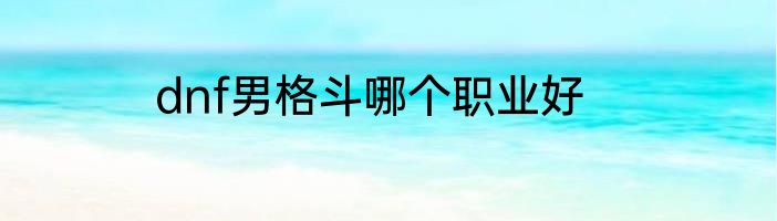 dnf男格斗哪个职业好