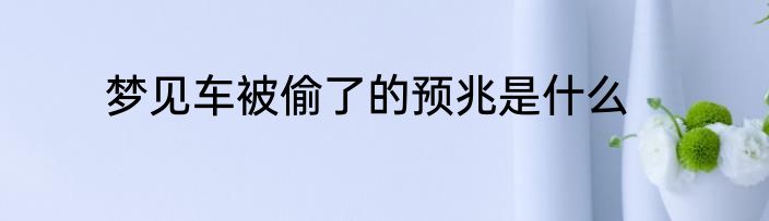 梦见车被偷了的预兆是什么