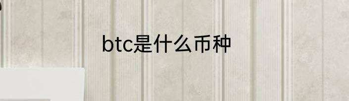 btc是什么币种