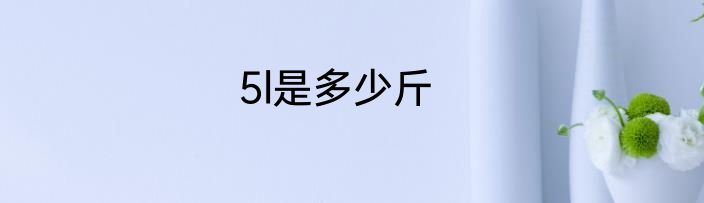 5l是多少斤