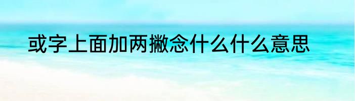 或字上面加两撇念什么什么意思