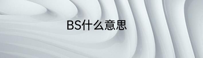 BS什么意思