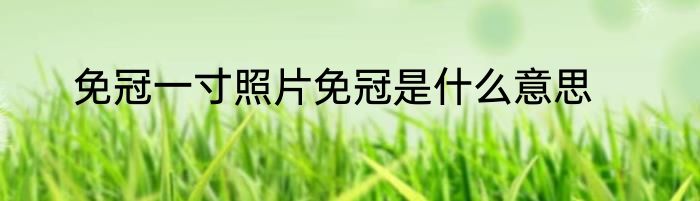 免冠一寸照片免冠是什么意思