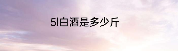 5l白酒是多少斤