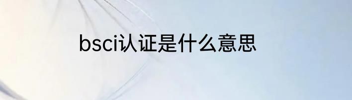 bsci认证是什么意思