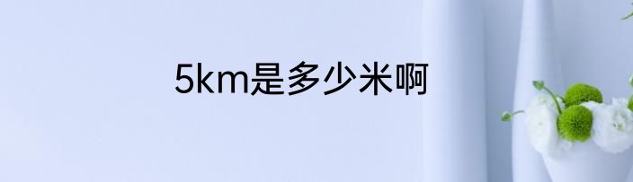 5km是多少米啊
