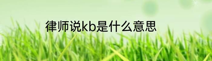 律师说kb是什么意思