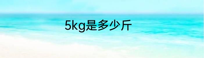 5kg是多少斤