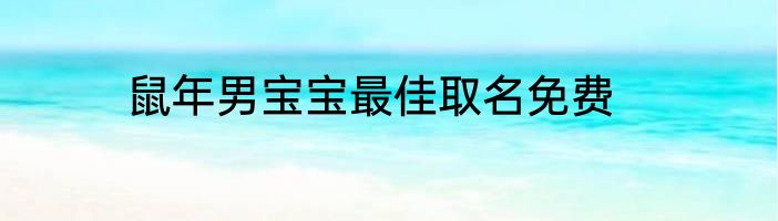 鼠年男宝宝最佳取名免费