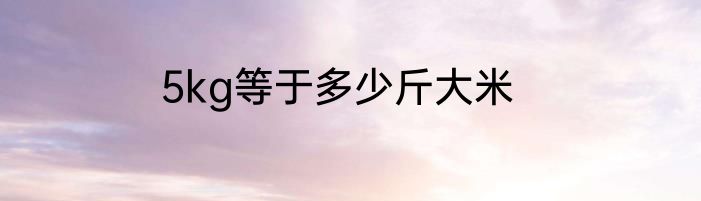 5kg等于多少斤大米