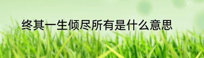终其一生倾尽所有是什么意思