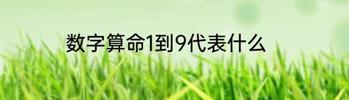 数字算命1到9代表什么