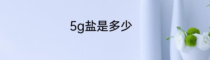 5g盐是多少