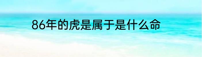 86年的虎是属于是什么命