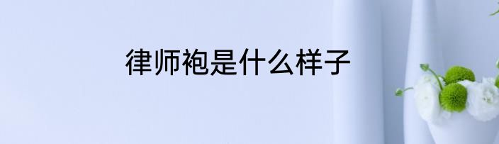 律师袍是什么样子