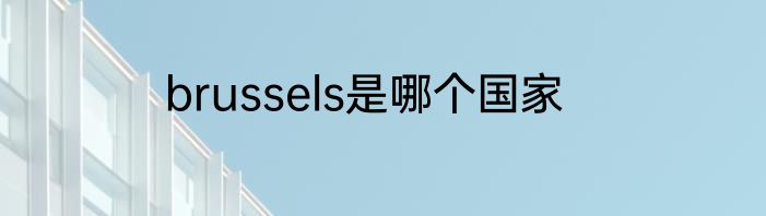 brussels是哪个国家