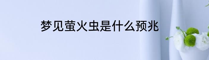 梦见萤火虫是什么预兆