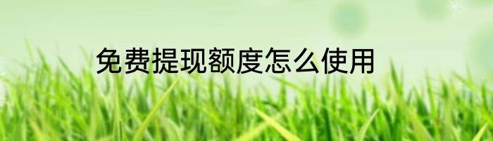 免费提现额度怎么使用