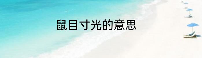 鼠目寸光的意思
